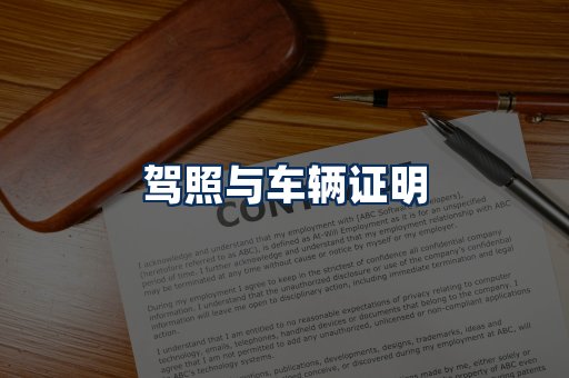 车辆证明展示